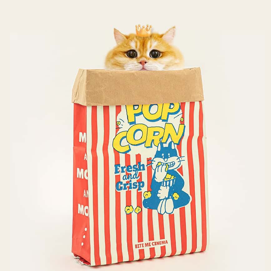 HelloDOG 寵物床墊 玩具嚴選 貓狗解壓躲藏窩 躲貓貓爆米花 (75x35cm) (圖片2)