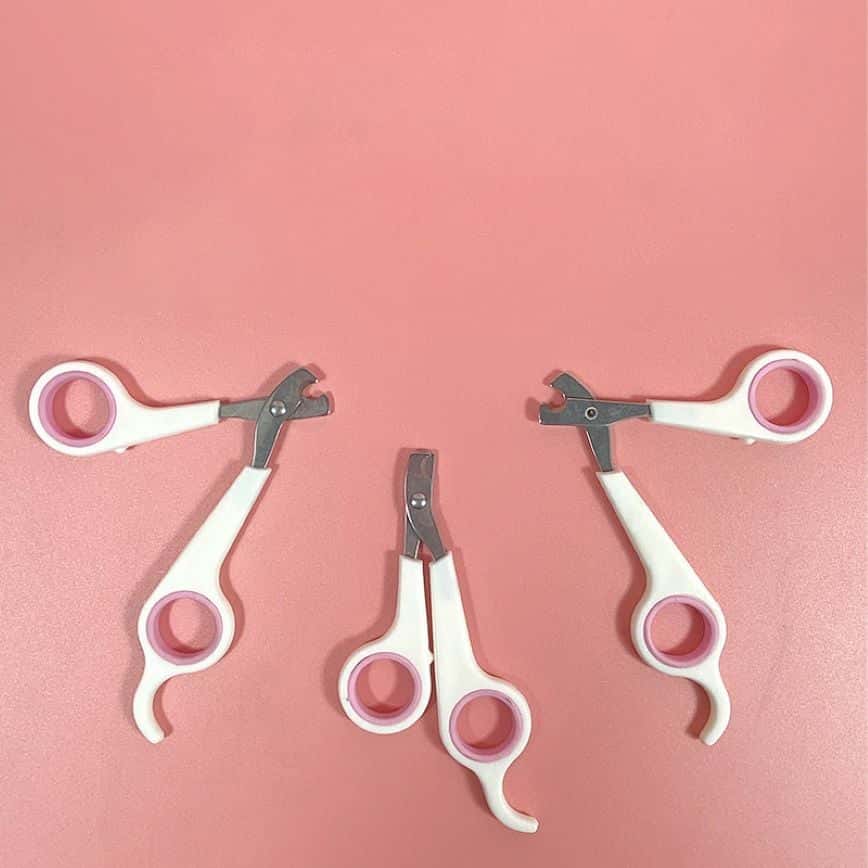 HelloDOG 用具嚴選 不銹鋼頭寵物指甲鉗 (款式隨機) (圖片2)