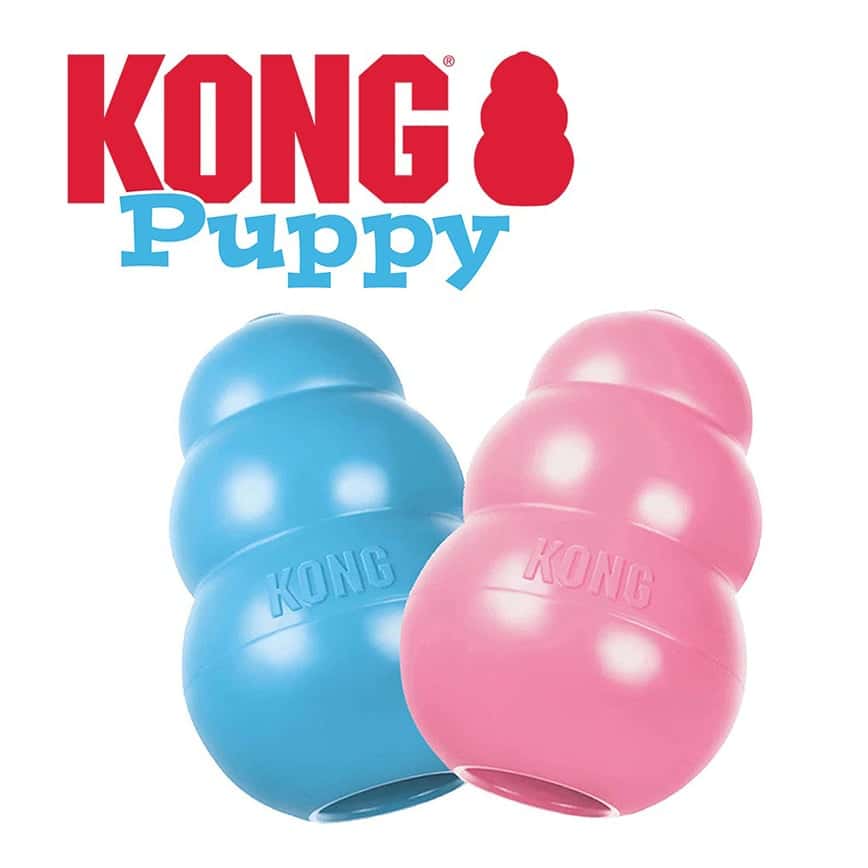 KONG Puppy Medium 9cm (41944) (圖片2)