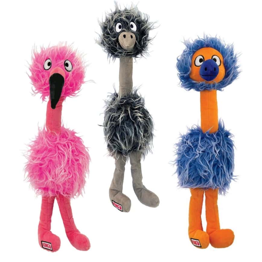 KONG Comfort Jumbo Birds XL (201350) (圖片2)