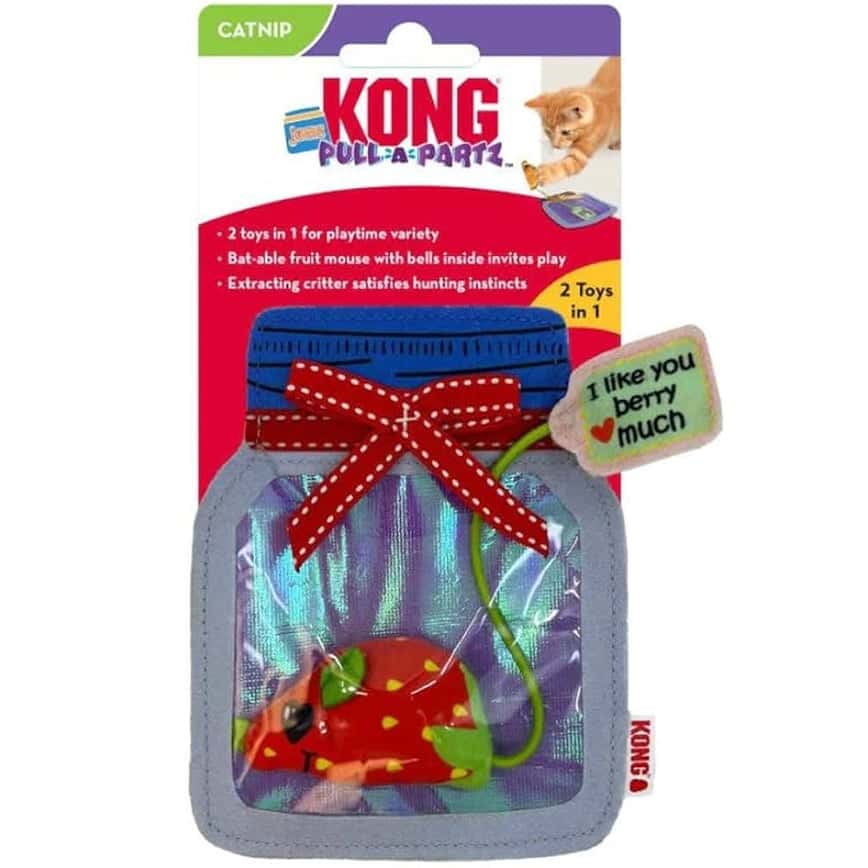 KONG Pull-a-Partz Jamz Assorted (CPP13) (圖片2)