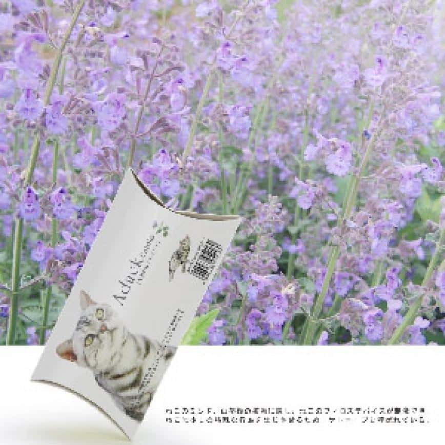 Aduck 放鬆減壓興奮天然貓薄荷 (圖片2)