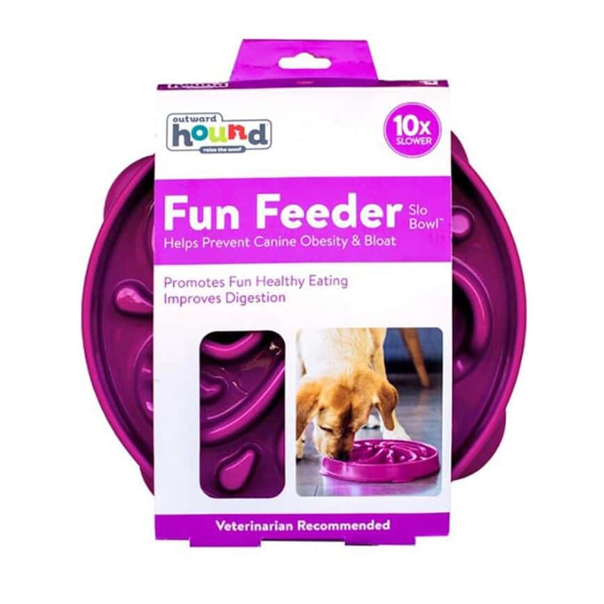 outward hound 好玩慢食碗 花朵 紫 大 (LP51003) (圖片2)