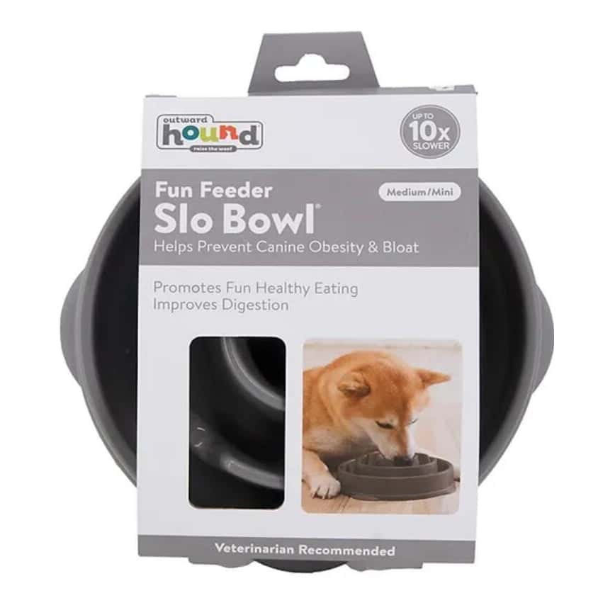 outward hound 好玩慢食碗 灰 中 (LP69891) (圖片2)