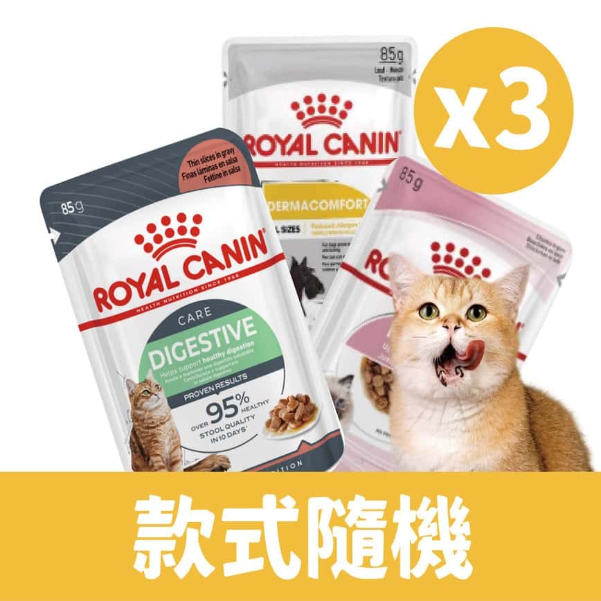 Royal Canin 法國皇家 限時禮品濕包 85g x3 (非賣品) (圖片2)