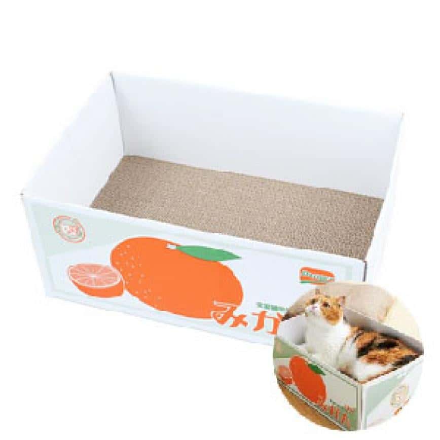 瓦楞紙二合一貓抓板貓窩 橘子 (圖片2)