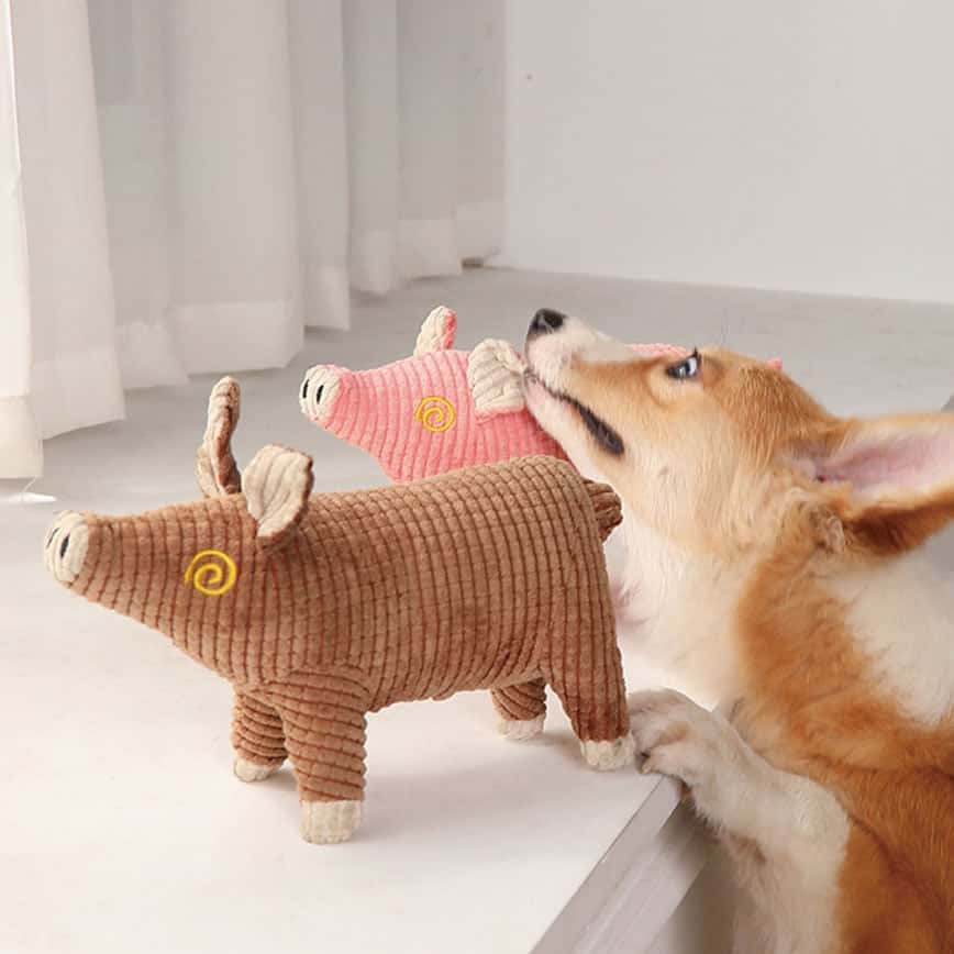 HelloDOG 狗玩具 玩具嚴選 發聲耐咬可愛毛絨豬 顏色隨機 (圖片2)