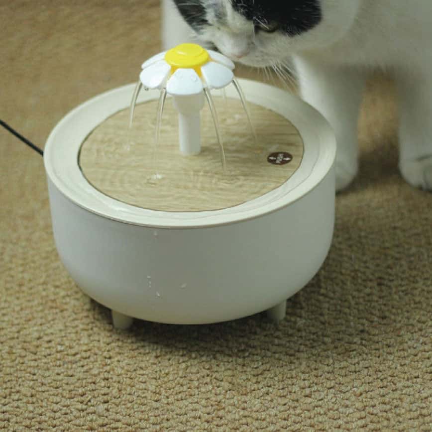 HelloDOG 寵物用品嚴選 有腳花朵噴泉飲水機 貓狗飲水器 (款式隨機) (圖片2)