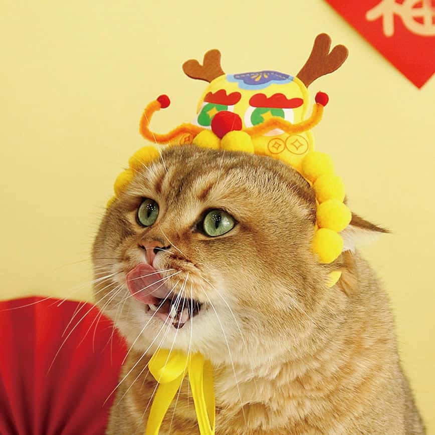 HelloDOG 貓玩具 虎帽龍頭 1件 (隨機顏色) (圖片2)