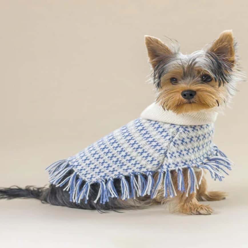 Alqo Wasi 精選拉丁織布斗篷 藍色 S (圖片2)