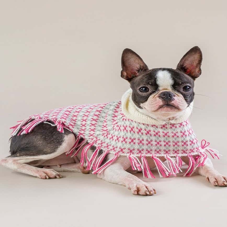 Alqo Wasi 精選拉丁織布斗篷 粉色 M (圖片2)