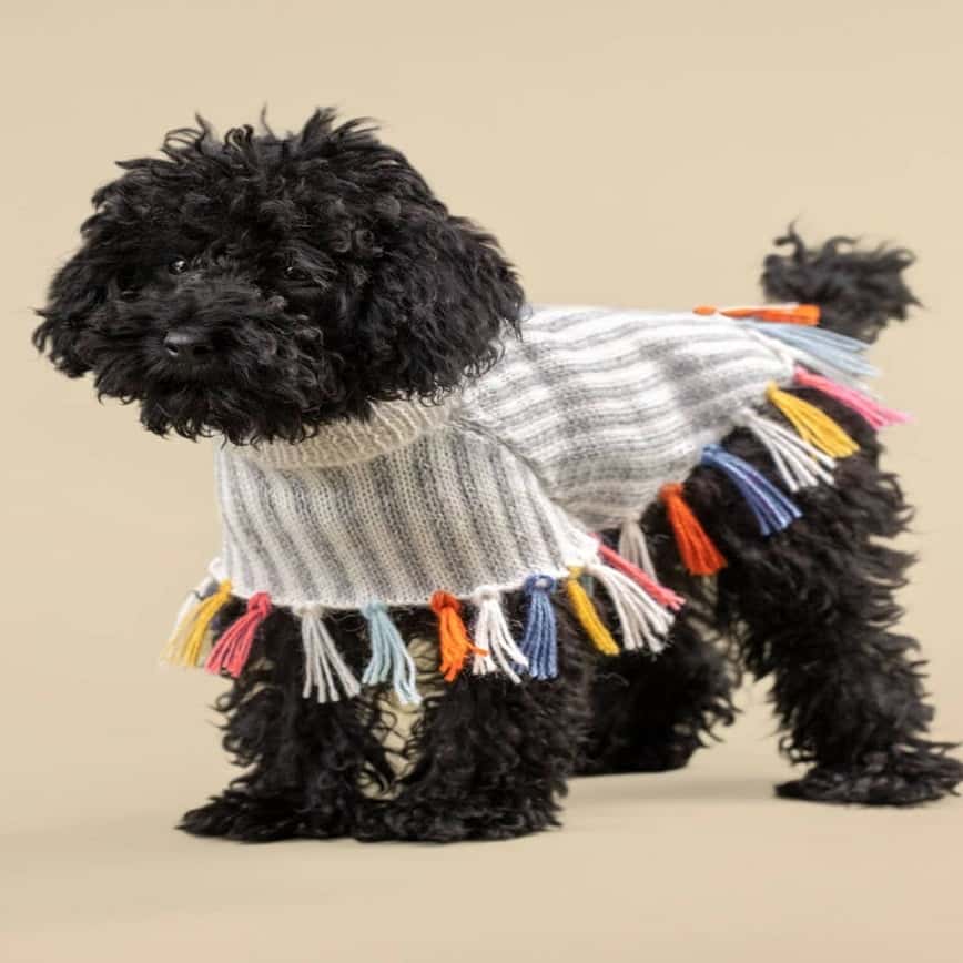 Alqo Wasi 民族式絮花披肩彩虹色 M (圖片2)