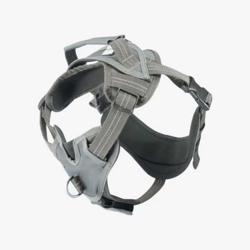 汪喵星球 dogcatstar 減壓胸背帶 M號 (GC895) (圖片2)