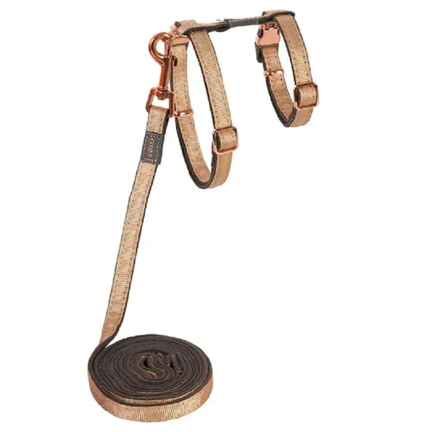 ROGZ UrbanCat 胸帶拖帶 S 金 (CLJ271-GR) (圖片2)