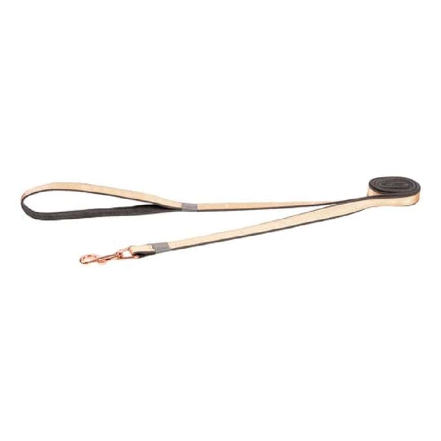 Rogz UrbanDog 拖帶 M 1.8M 金 (HL275-GR) (圖片2)