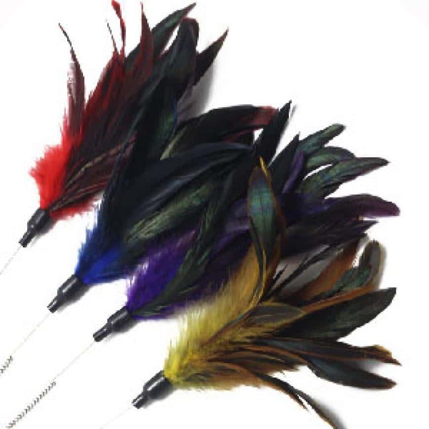 DoggyMan 彩色羽毛逗貓棒 (顏色隨機) (圖片2)