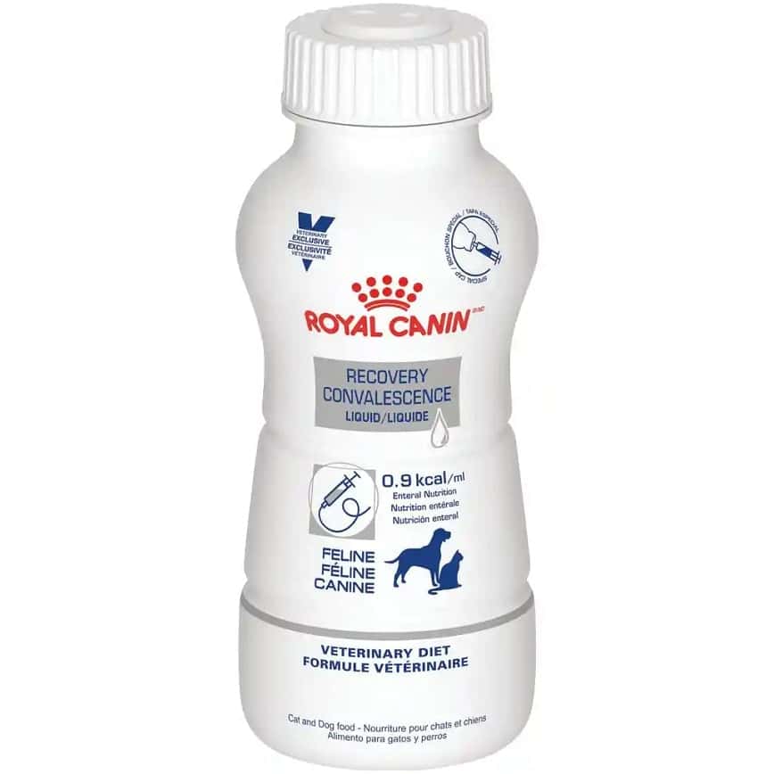 Royal Canin 法國皇家 獸醫處方 貓犬用營養液體食品 腸胃道系列 ICU重症營養處方營養液 (貓/犬用) 237ml x 4支 (新包裝) (圖片2)