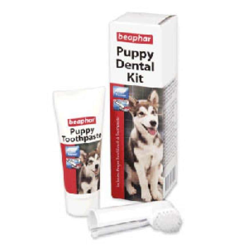 Beaphar 狗狗專用潔齒套裝 (手指型牙刷1支裝+幼犬牙膏25g) (停售) (圖片2)