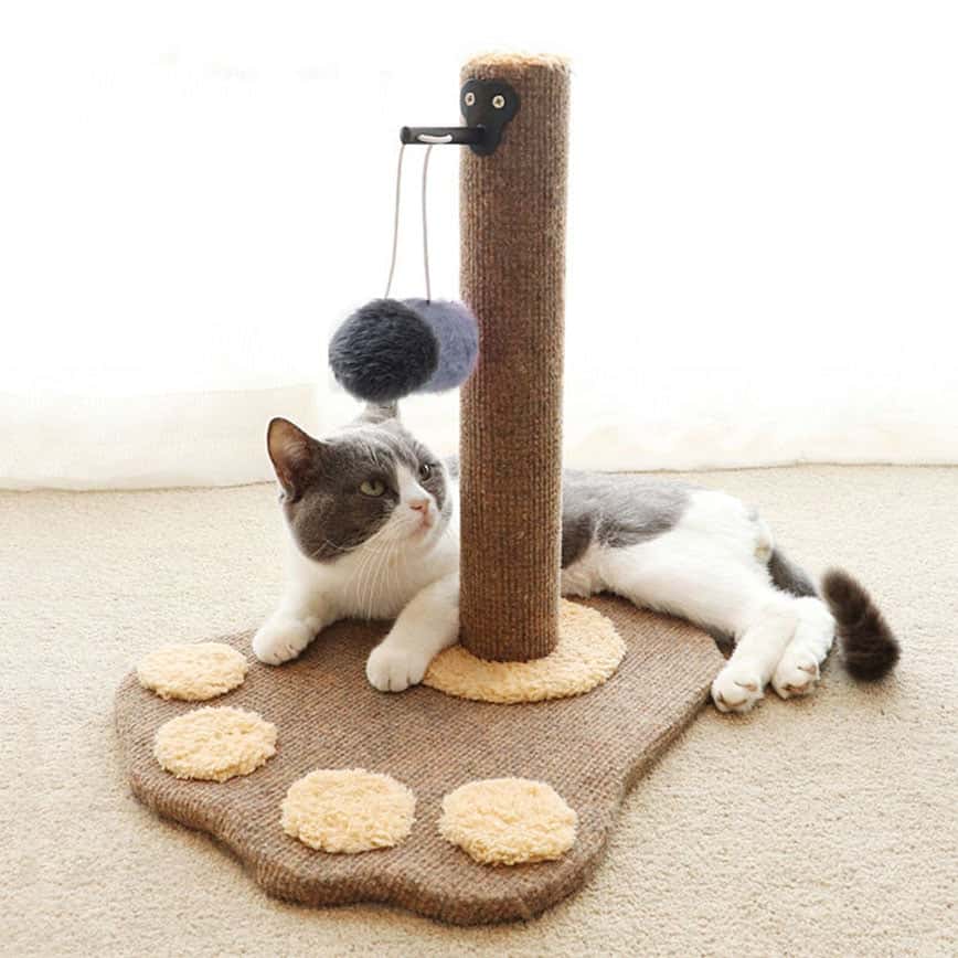 劍麻貓抓柱 玩具嚴選 絨布貓腳印+毛绒波波 (圖片2)