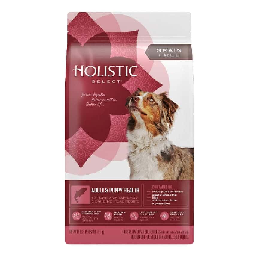Holistic Select活力滋 成犬 無穀物四種魚配方 Adult & Puppy Salmon Anchovy & Sardine 4lb (31100) (圖片2)
