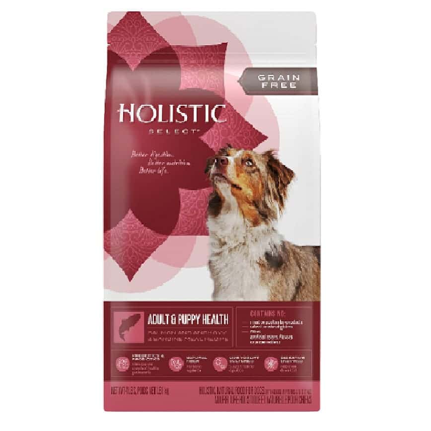 Holistic Select活力滋 成犬 無穀物四種魚配方 Adult & Puppy Salmon Anchovy & Sardine 12lb (31101) (圖片2)