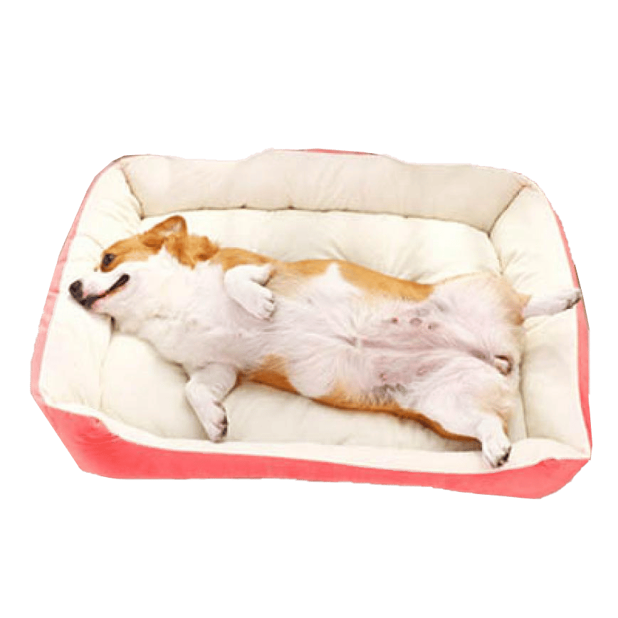 寵物床 防滑厚身 M碼 70 (粉紅) (貓犬用) (圖片2)