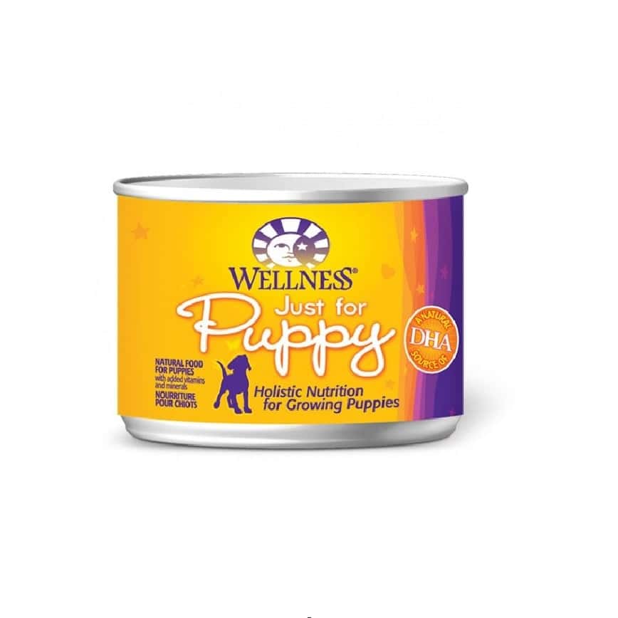 WELLNESS Complete Health 狗罐頭 幼犬配方 6oz (圖片2)