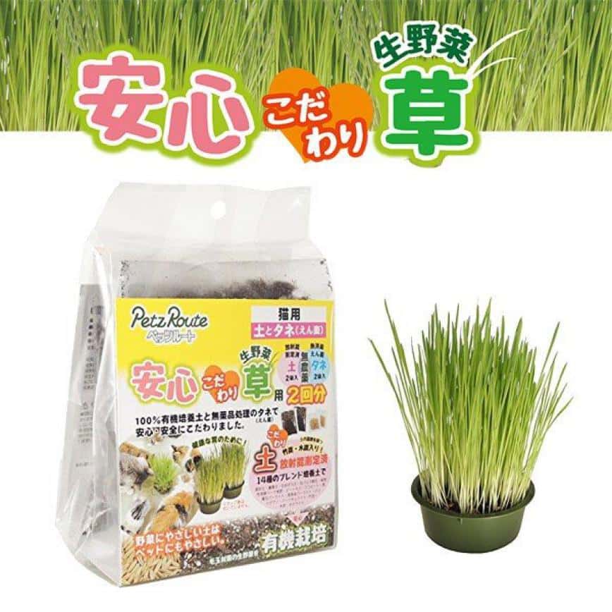 日本Petz Route 100％有機培養土 安心貓草 2回分 (圖片2)