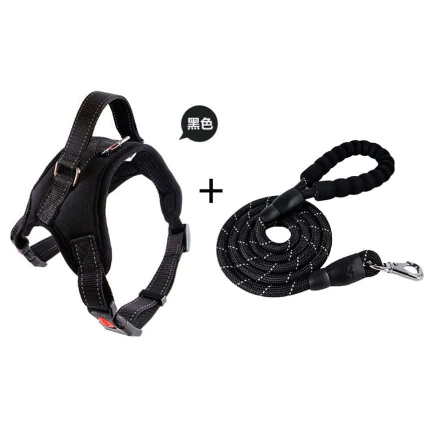 輕鬆遛狗 牽引繩寵物胸背帶配牽引繩 M碼 (圖片2)