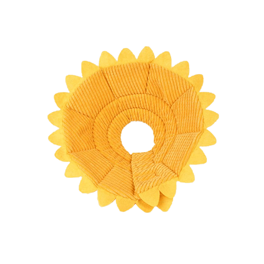 寵物超可愛防咬頸圈 向日葵 S碼 (圖片2)