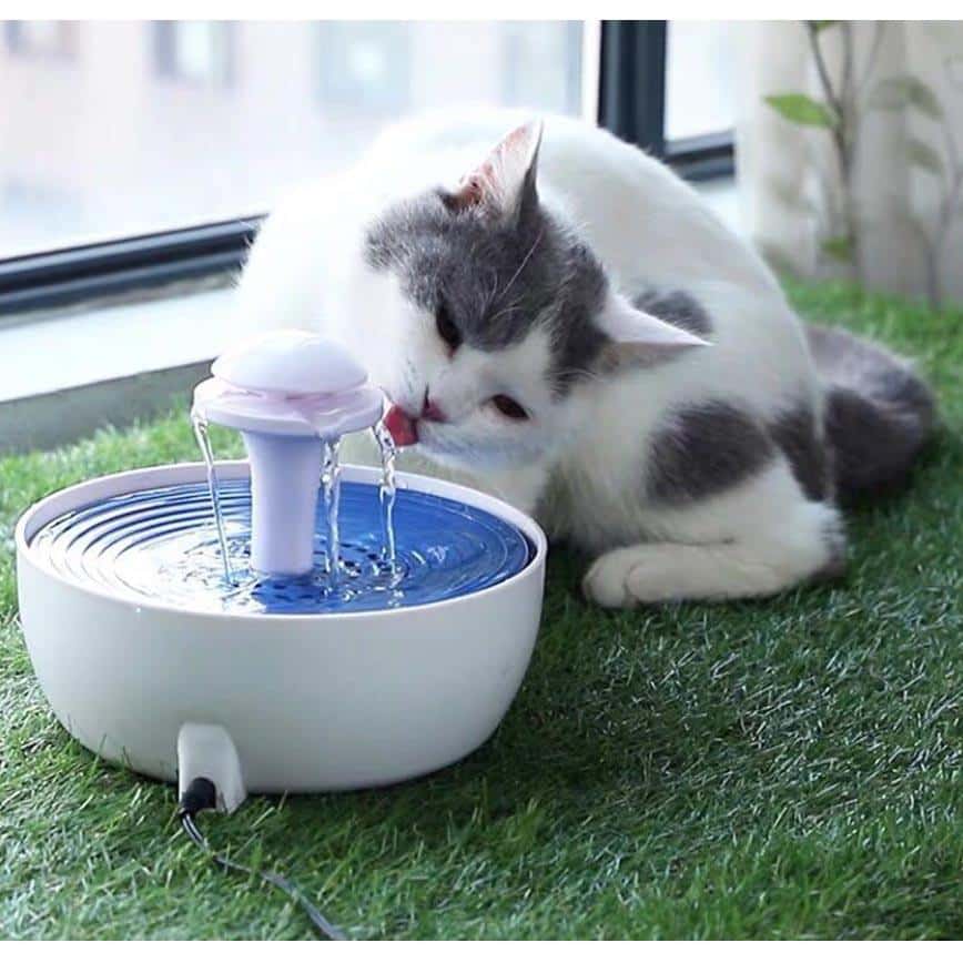 ELITE 飲水機 寵物電動循環 活氧飲水器 (圖片2)