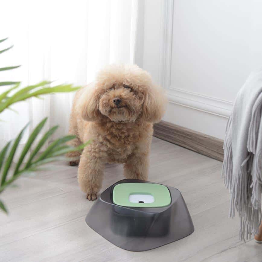 超大浮力 飲水機 貓咪狗狗自動飲水器 (顏色隨機) (圖片2)