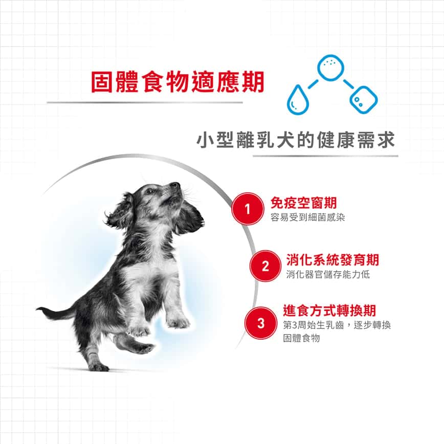 Royal Canin 狗糧 法國皇家狗糧 健康營養系列 小型初生犬及母犬營養配方 小型初生BB糧 MIST 3kg (2990030011) (圖片2)
