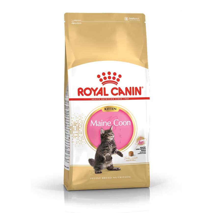 Royal Canin 貓糧 法國皇家貓糧 純種系列 緬因幼貓專屬配方 KMCO 10kg (2521100) (圖片2)