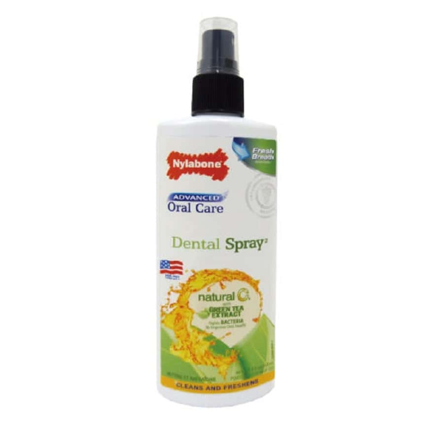 Nylabone 口腔護理噴霧 綠茶味 (犬用) (NPD622P) (圖片2)